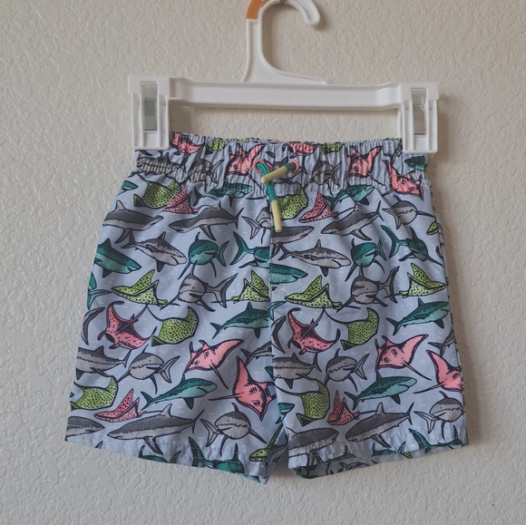 Cat & Jack Swim Cat Jack Boys Swim Shorts Size 2t Poshmark